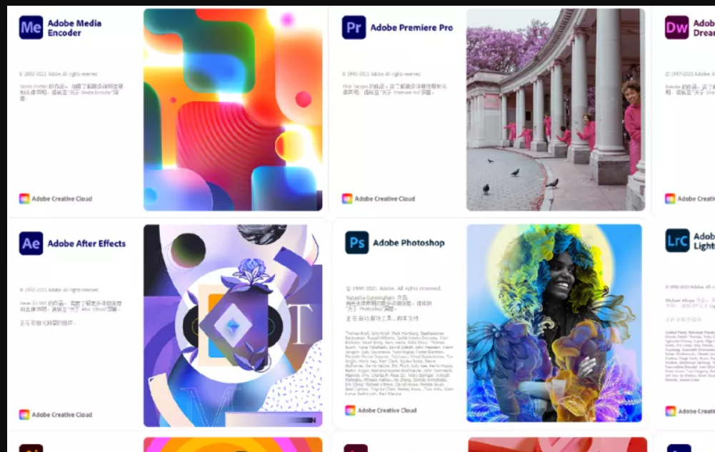 ADobe 2022 全家桶 SP版和大师版