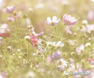 地方生活门户信息网站源码_地方门户系统源码php_门户网站php源码
